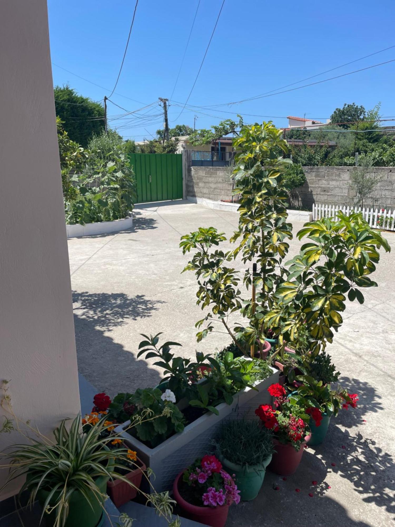 Rental Houses Dukaj Vlorë Exteriér fotografie